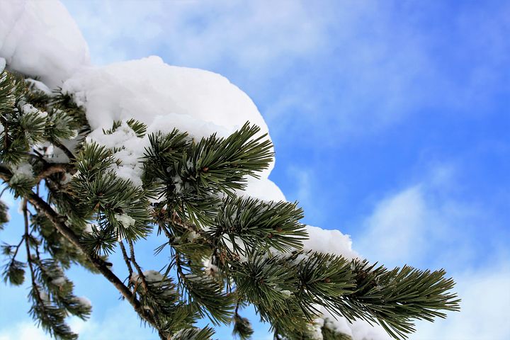 Prepping your Car for Winter